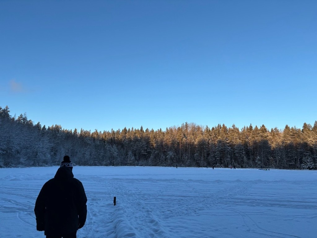Зимнее озеро у леса